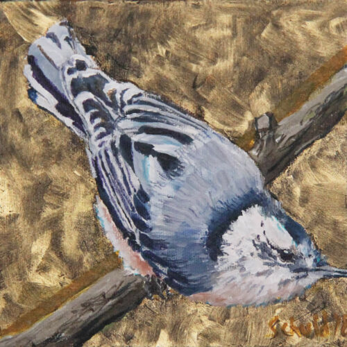 Marsha Schuld - Breasted Nuthatch