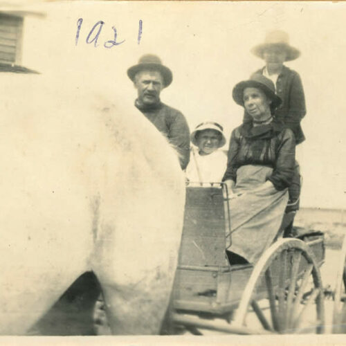 Leo and Ursula (Trottier) Parenteau with two children in buggy 1921 Napoleon (1876-1968) was born to Isadore Parenteau and Judith Plante. Ursula (1877-1970)was the daughter of Jean Baptiste Trottier and Rose McGillis. They lived in a Métis settlement south of Lac Pelletier until 1924 when most of the family moved back to Montana. Daughters, Tillie and Annie stayed in Canada. The family had ties to the Rocky Boy reservation in Montana. Fonds / Collection: Barb Parchman and family fonds